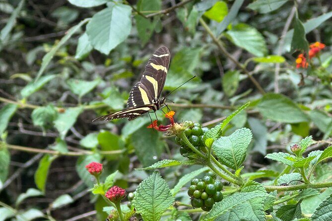 Discover Estanzuela Natural Park - Wrapping It Up