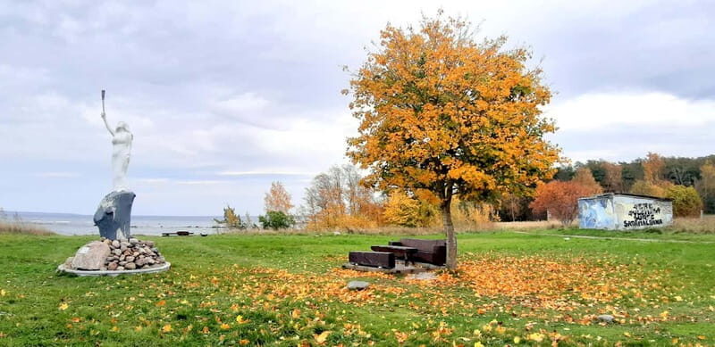 Discover Estonia-car tour from Tallinn to Keila-Joa Waterfal - Final Thoughts