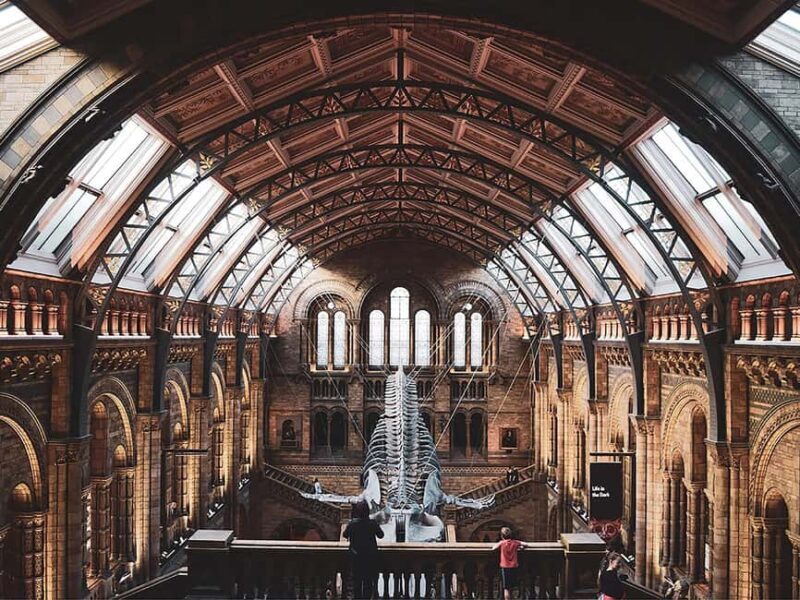 Discover Evolution at the Natural History Museum - What to Expect from This Guided Tour