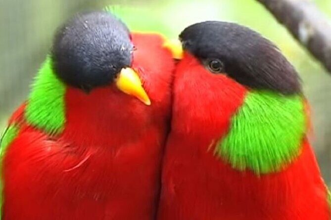 "Discover Fiji's Hidden Gems: Eco Park, Pottery Village & Dunes!" - FAQ