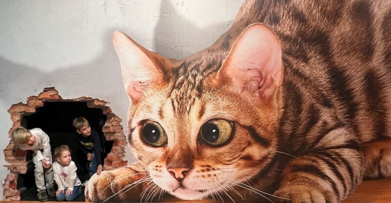 Discover Germany's most exciting photo illusion world! - FAQs