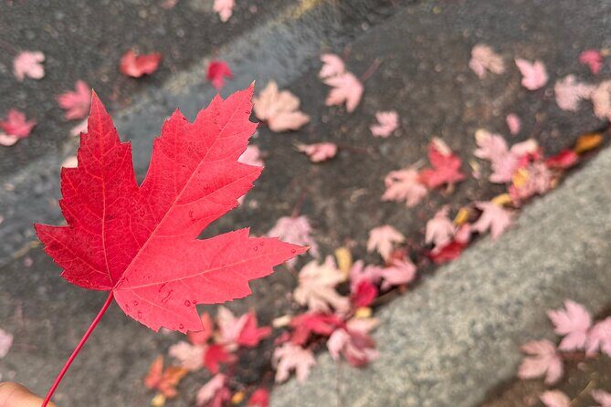 "Discover Hahndorf: Wine, Cheese, Beer, Shops & Lunch Day Trip" - Final Thoughts