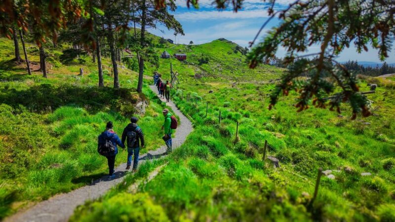 Discover Haugesund and visit a local mountain farmer - Final Thoughts: Who Should Consider This Tour?