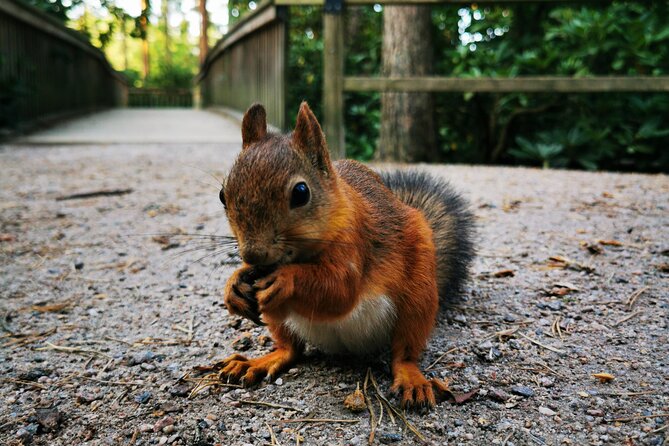 Discover Helsinki - Tip-based Tour by RED UMBRELLA - 2026 - Stop 5: Restaurant Lightvessel Relandersgrund—A Boat Stop With Real Views