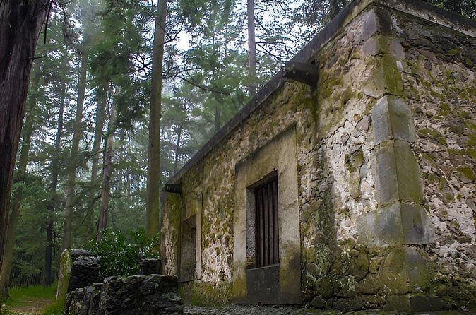 Discover Hiking Trails and a Convent in Desierto de los Leones - Who Should Consider This Tour?