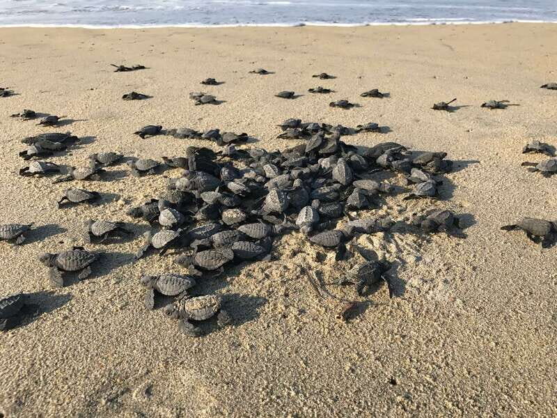 Discover Huatulco: Beach, Flavors, and More - The Sum Up