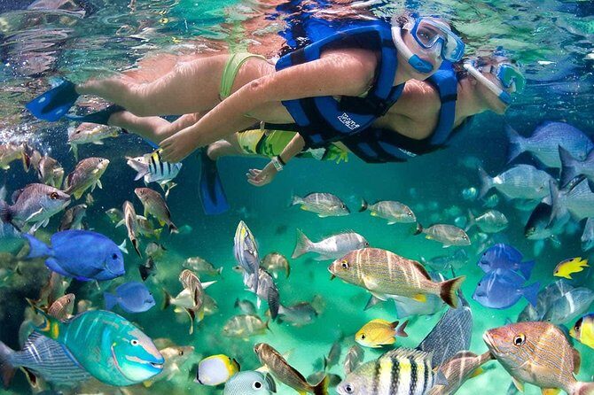 Discover Isla Mujeres tour with snorkel, buffet and open bar - The Sum Up
