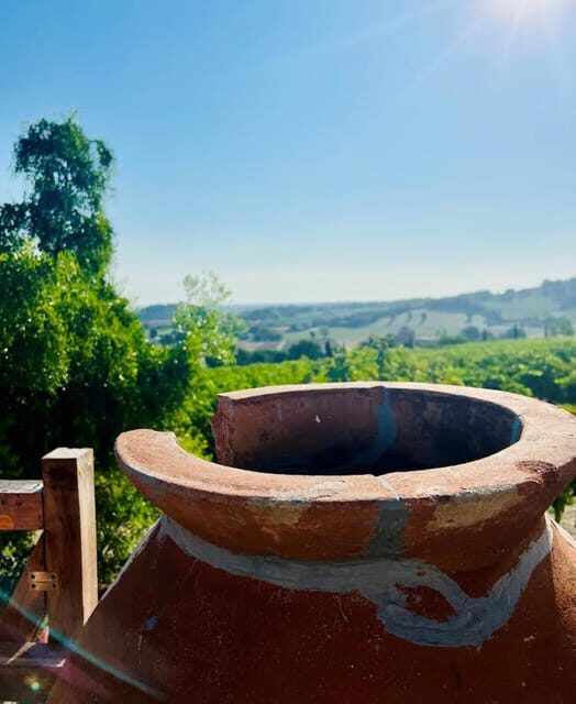 Discover Italian Wines: Exclusive Tasting at Tenuta La Viola - Key Points