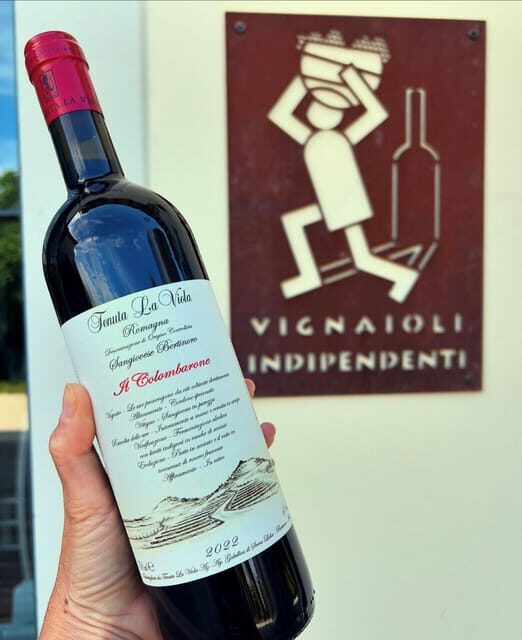 Discover Italian Wines: Exclusive Tasting at Tenuta La Viola - FAQ