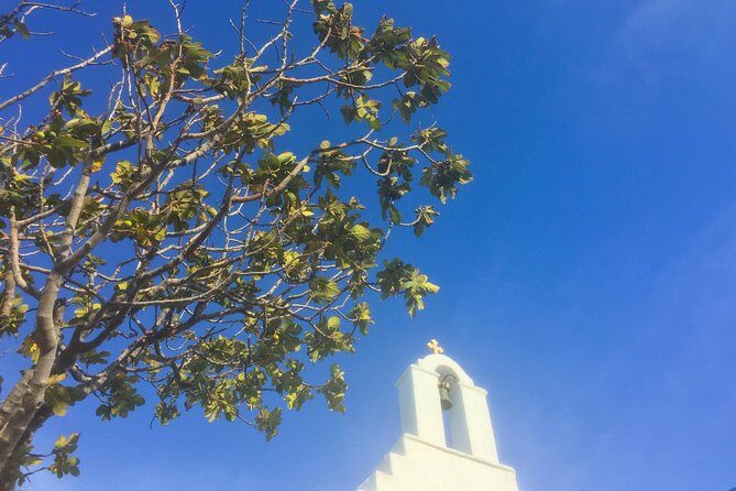 Discover Lefkes: Traditional Greek Village Paros VIP Experience - Exploring Lefkes: What’s Included in the Tour