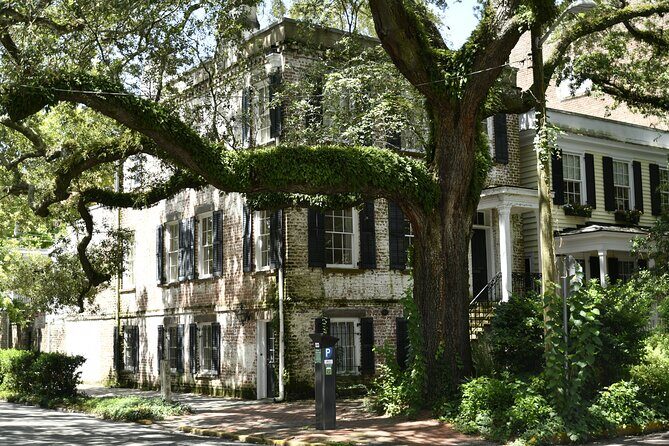 Discover Lesser Known Stories on the Hidden Savannah Walking Tour - Key Points