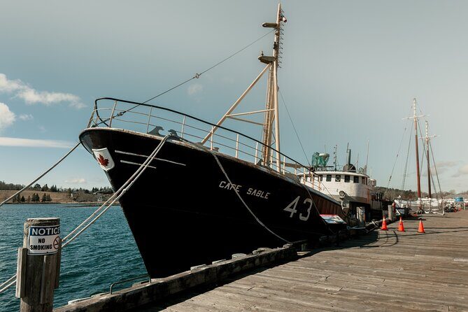 Discover Lunenburg and Mahone Bay Guided Tour - Exploring the Lunenburg and Mahone Bay Guided Tour: A Friendly Breakdown