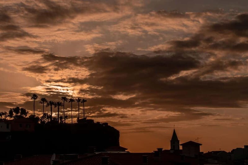 Discover Madeira in your own way: Private full-day tour - Key Points