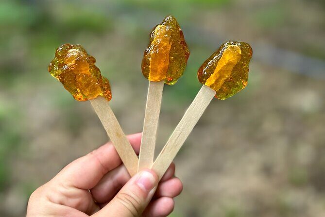 Discover Maple Sugar Bush Tour - What to Expect from the Discover Maple Sugar Bush Tour