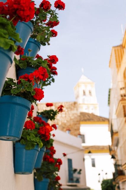 Discover Marbella's Old Town with five-star private tour - Discover Marbellas Old Town with a Five-Star Private Tour