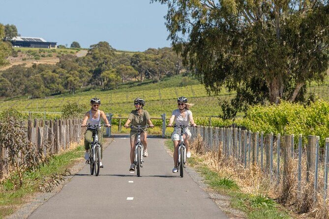 Discover McLaren Vale on eBikes - Full Day - Exploring McLaren Vale on E-Bikes: A Practical and Enjoyable Day Out