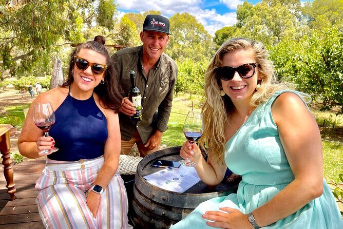 Discover McLaren Vale on eBikes - Full Day - Who Should Consider This Tour?