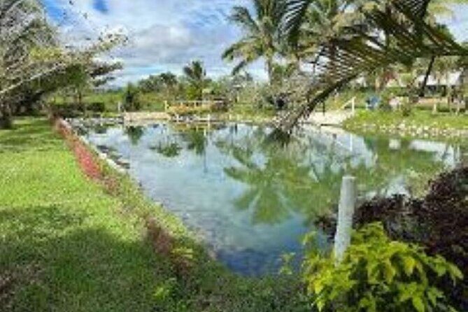 Discover Mud pool/Hot -Spring Nadi - Final Thoughts
