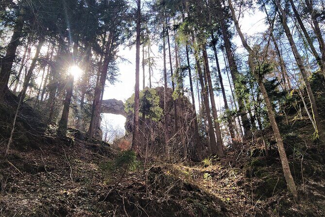 Discover Near Brno: Best Czech Caves & Karst Full-Day tour - What Travelers Say: Honest Reviews