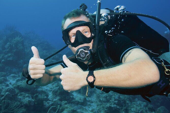 Discover PADI Diving in Barcelona - What the Reviews Say