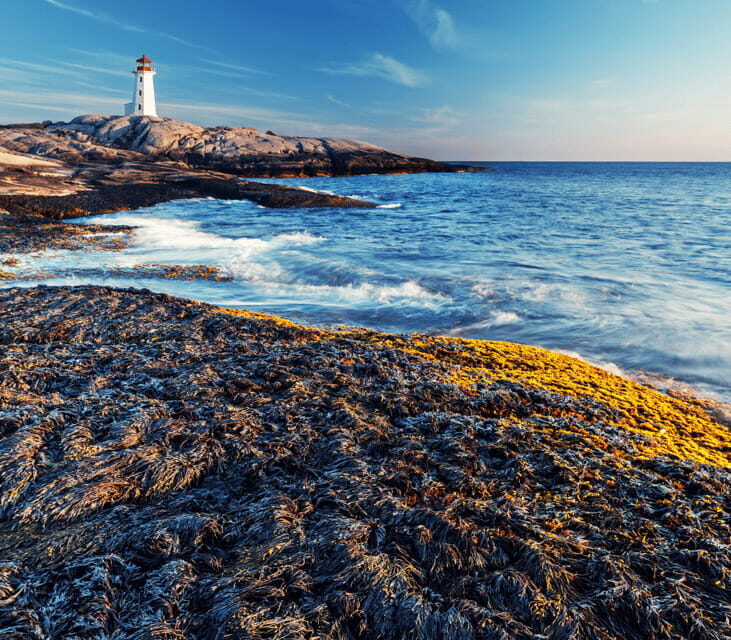 Discover Peggy's Cove: Private Journey from Halifax - The Itinerary — What You Can Expect