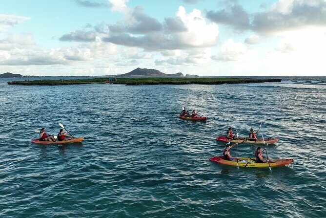 Discover Popoia Island and Kailua Bay by Kayak Guided Tour - Who Would Love This?