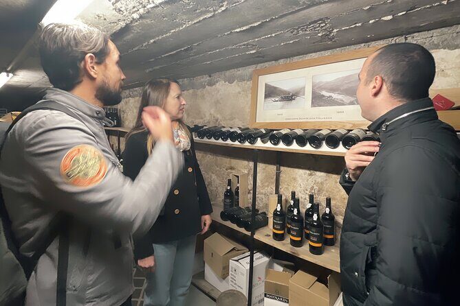 Discover Porto A Private Walking Tour with Authentic Tasting - Who Will Love This Tour?