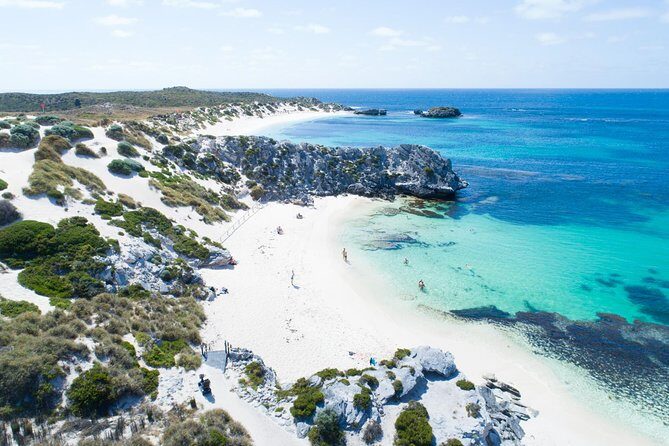 Discover Rottnest with Ferry & Bus Tour - Key Points