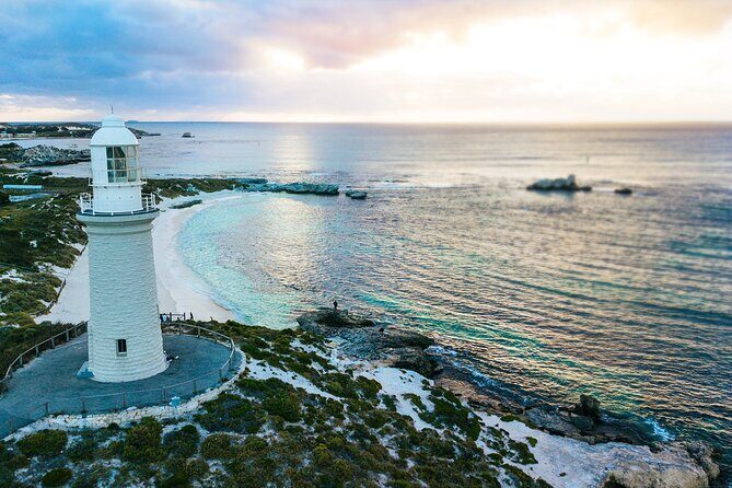 Discover Rottnest with Ferry & Bus Tour - What to Expect from This Rottnest Tour