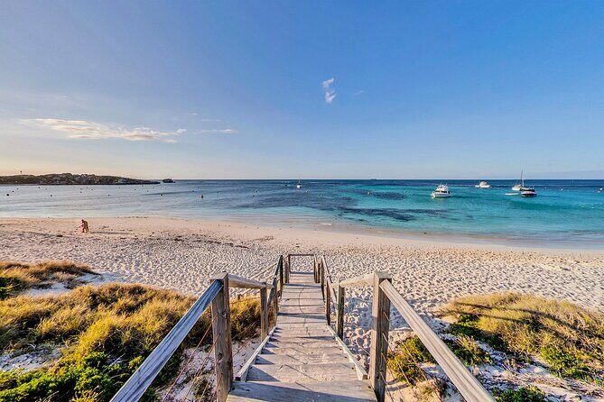 Discover Rottnest with Ferry & Bus Tour - Practical Tips for Your Trip