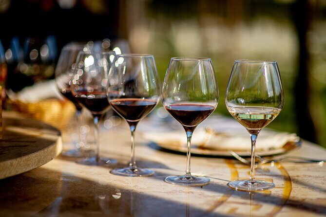 Discover San Gimignano from Livorno - Discover San Gimignano from Livorno: An Honest Look at a Tasty Day Out