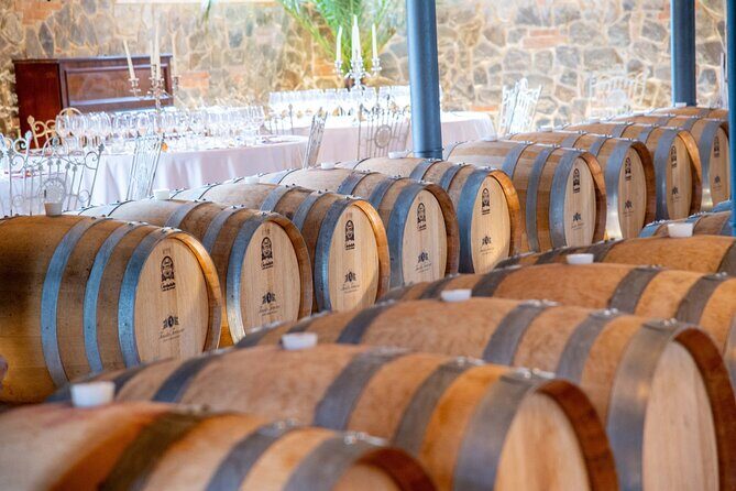 Discover San Gimignano from Livorno - Key Points