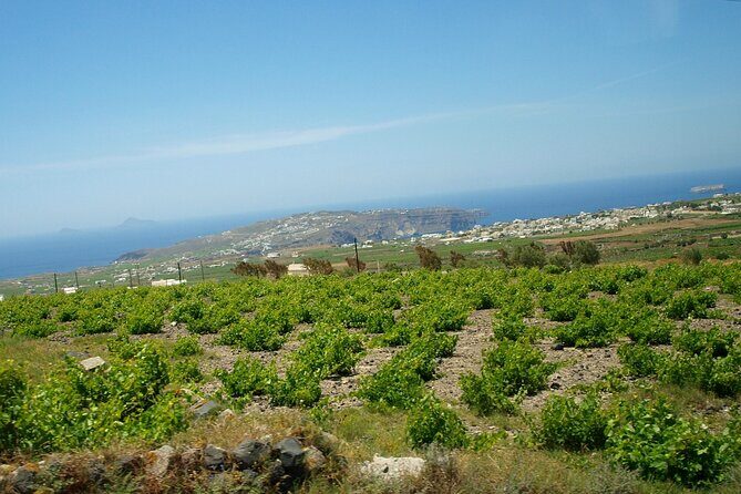 Discover Santorini - Who Would Enjoy This Tour?