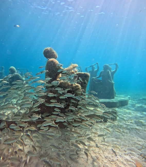Discover Scuba at the Underwater Sculpture Park - FAQ