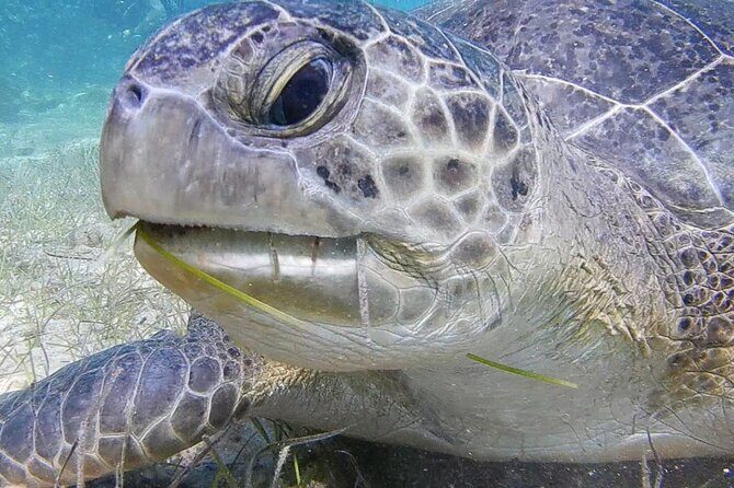 Discover Scuba Diving - The Sum Up