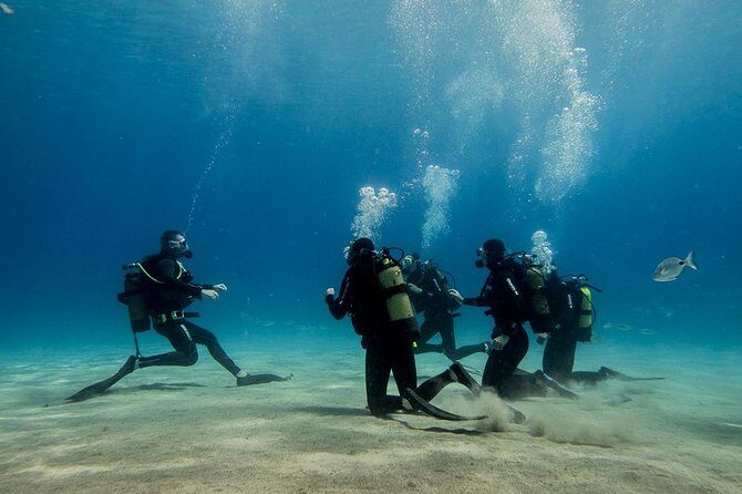 Discover Scuba Diving - The Safety and Support You Need