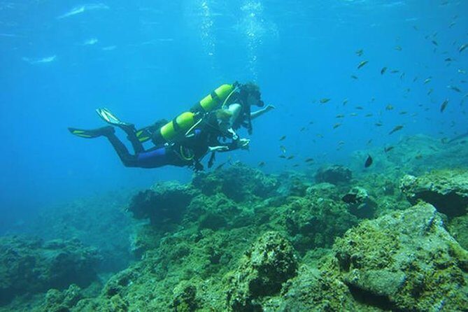 Discover Scuba Diving - Preparing for Your Dive