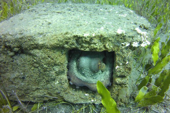 Discover Scuba Diving - The Post-Dive Feelings