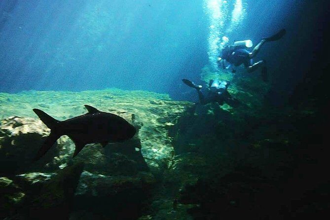 Discover Scuba Diving at Casa Cenote - Who Is This Tour Best For?