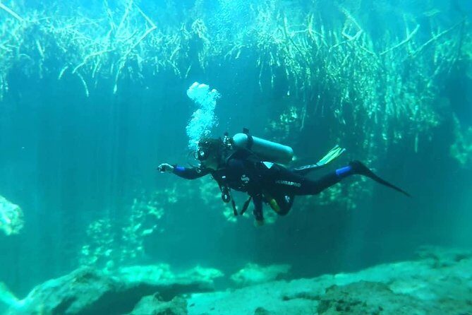 Discover Scuba Diving at Casa Cenote - Final Thoughts: Who Will Love This Tour?
