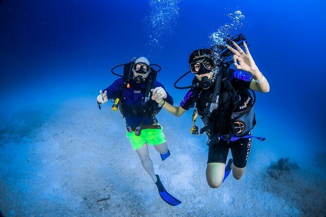 Discover Scuba Diving & Beach Club with Transportation In Riviera Maya - Why We Think This Tour Works Well