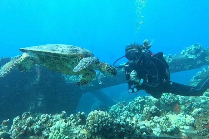 Discover Scuba Diving Class from Lahaina - Who Should Consider This Tour?
