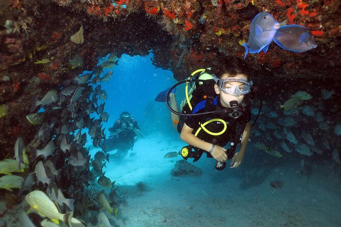Discover Scuba Diving Course in Playa del Carmen with Two Coral Reef Dives - Cost and What It Includes