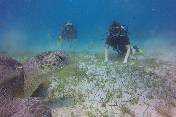 Discover Scuba diving - Safety and Comfort