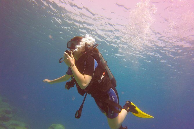 Discover Scuba diving - Final Thoughts: Is This Tour Right for You?