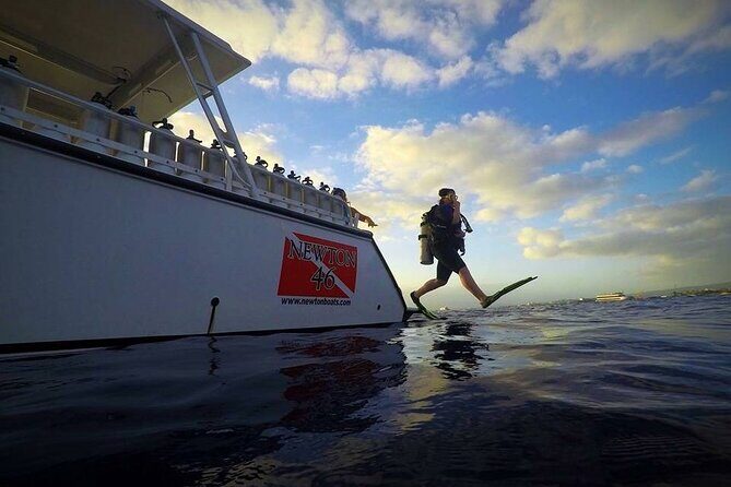 DISCOVER Scuba Diving Experience in Honolulu - The Itinerary: A Day of Underwater Discovery