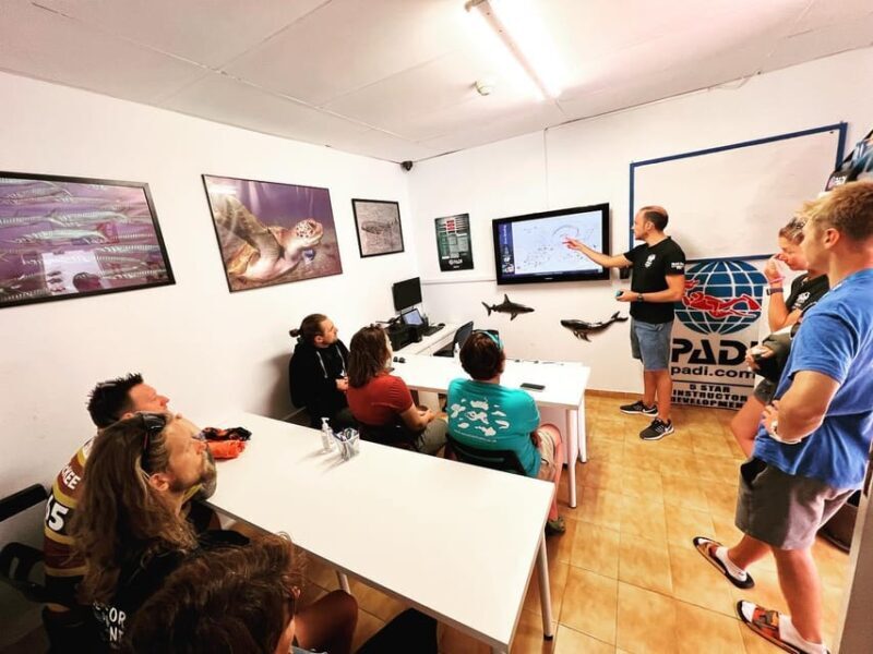 Discover Scuba Diving Experience - Key Points