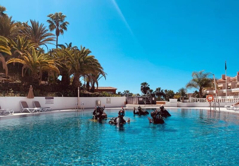 Discover Scuba Diving Experience - Who Will Love This Experience?