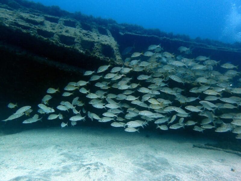 Discover Scuba Diving Experience - Final Thoughts