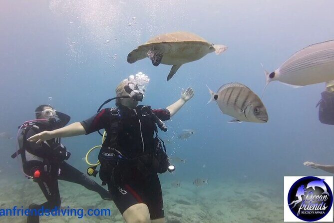 Discover Scuba Diving, free pictures included - Transportation and Meeting Details